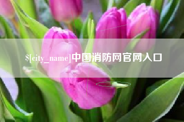安顺中国消防网官网入口