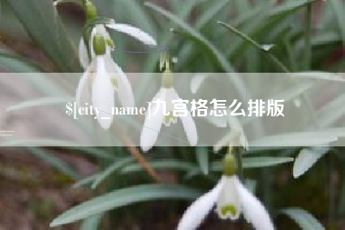 安顺九宫格怎么排版