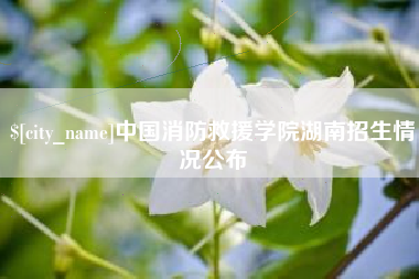 安顺中国消防救援学院湖南招生情况公布