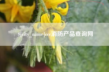 安顺ccc消防产品查询网