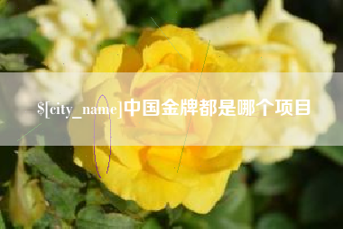 安顺中国金牌都是哪个项目