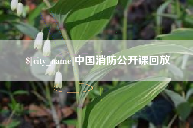 安顺中国消防公开课回放