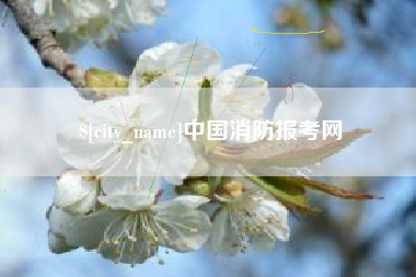 安顺中国消防报考网
