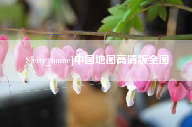 安顺中国地图高清版全图