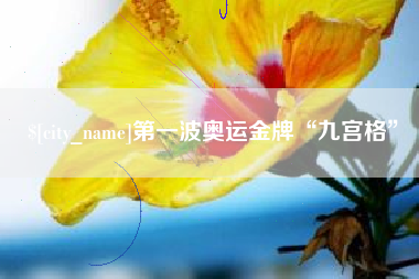 安顺第一波奥运金牌“九宫格”