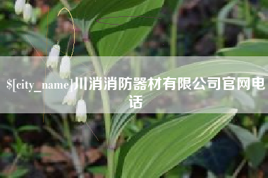 安顺川消消防器材有限公司官网电话