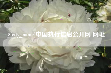 安顺中国执行信息公开网 网址