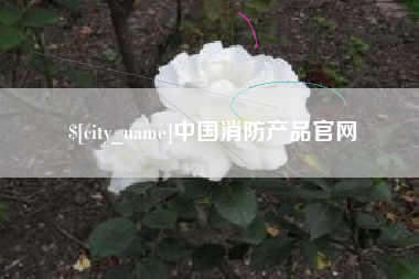 安顺中国消防产品官网