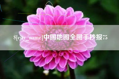 安顺中国地图全图手抄报75