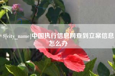 安顺中国执行信息网查到立案信息怎么办