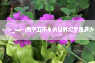 安顺男子五千米的世界纪录是多少