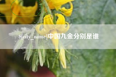 安顺中国九金分别是谁