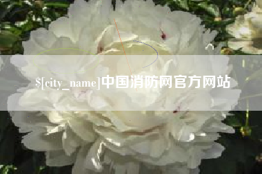 安顺中国消防网官方网站