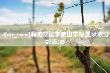 安顺消防救援学院山东招生录取分数线2020