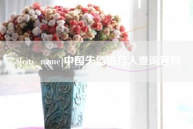 安顺中国失信执行人查询官网