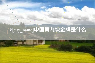 安顺中国第九块金牌是什么