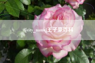 安顺王子豪百科