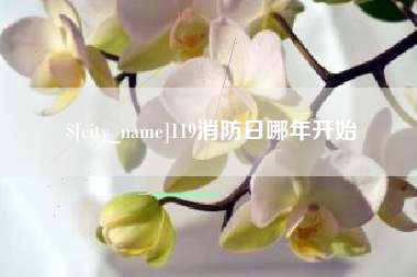 安顺119消防日哪年开始