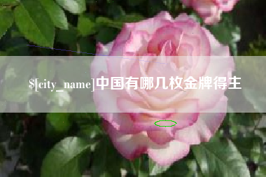 安顺中国有哪几枚金牌得主