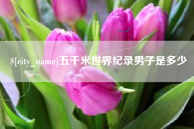 安顺五千米世界纪录男子是多少