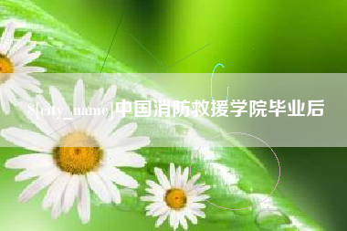 安顺中国消防救援学院毕业后
