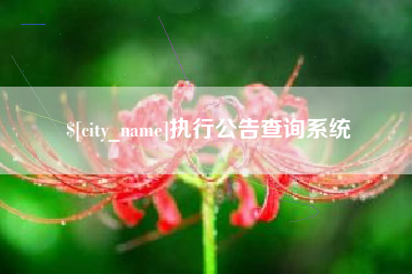 安顺执行公告查询系统