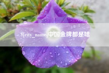 安顺中国金牌都是啥