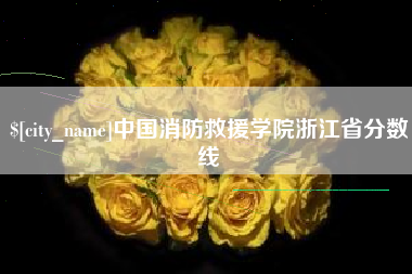 安顺中国消防救援学院浙江省分数线