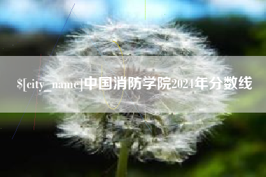 安顺中国消防学院2024年分数线