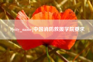 安顺中国消防救援学院要求