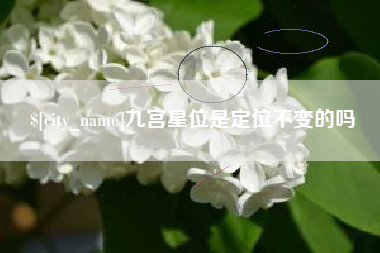 安顺九宫星位是定位不变的吗