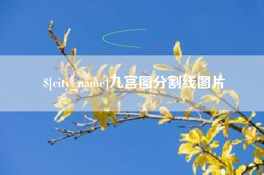 安顺九宫图分割线图片