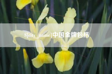 安顺中国金牌包括