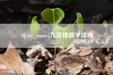安顺九宫格数字排序