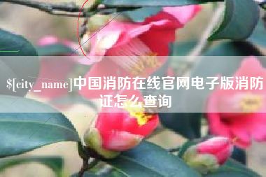 安顺中国消防在线官网电子版消防证怎么查询
