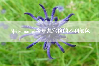 安顺今年九宫格的不利颜色