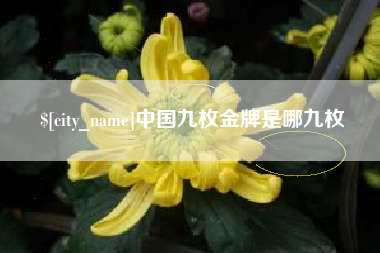 安顺中国九枚金牌是哪九枚