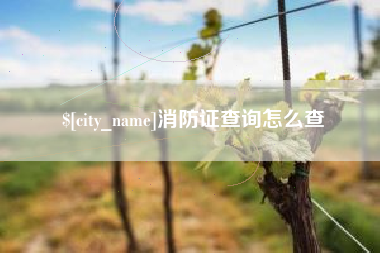 安顺消防证查询怎么查