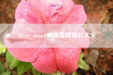 安顺中国金牌图片大全