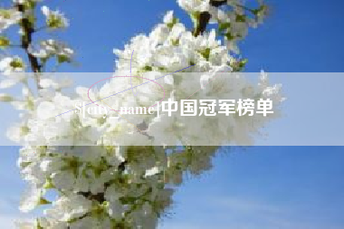 安顺中国冠军榜单