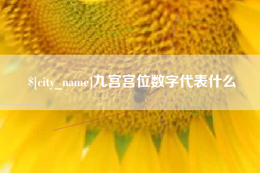安顺九宫宫位数字代表什么