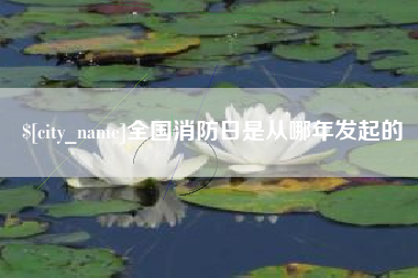 安顺全国消防日是从哪年发起的