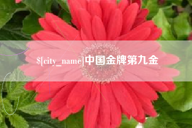 安顺中国金牌第九金