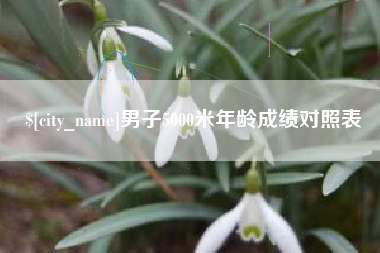 安顺男子5000米年龄成绩对照表