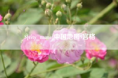 安顺中国地图9宫格
