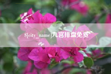 安顺九宫排盘免费