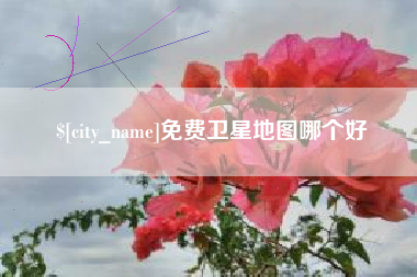 安顺免费卫星地图哪个好