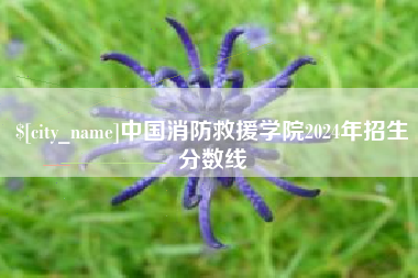 安顺中国消防救援学院2024年招生分数线