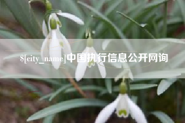 安顺中国执行信息公开网询