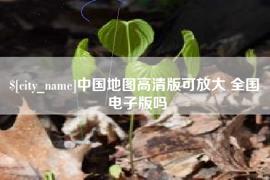 安顺中国地图高清版可放大 全国 电子版吗